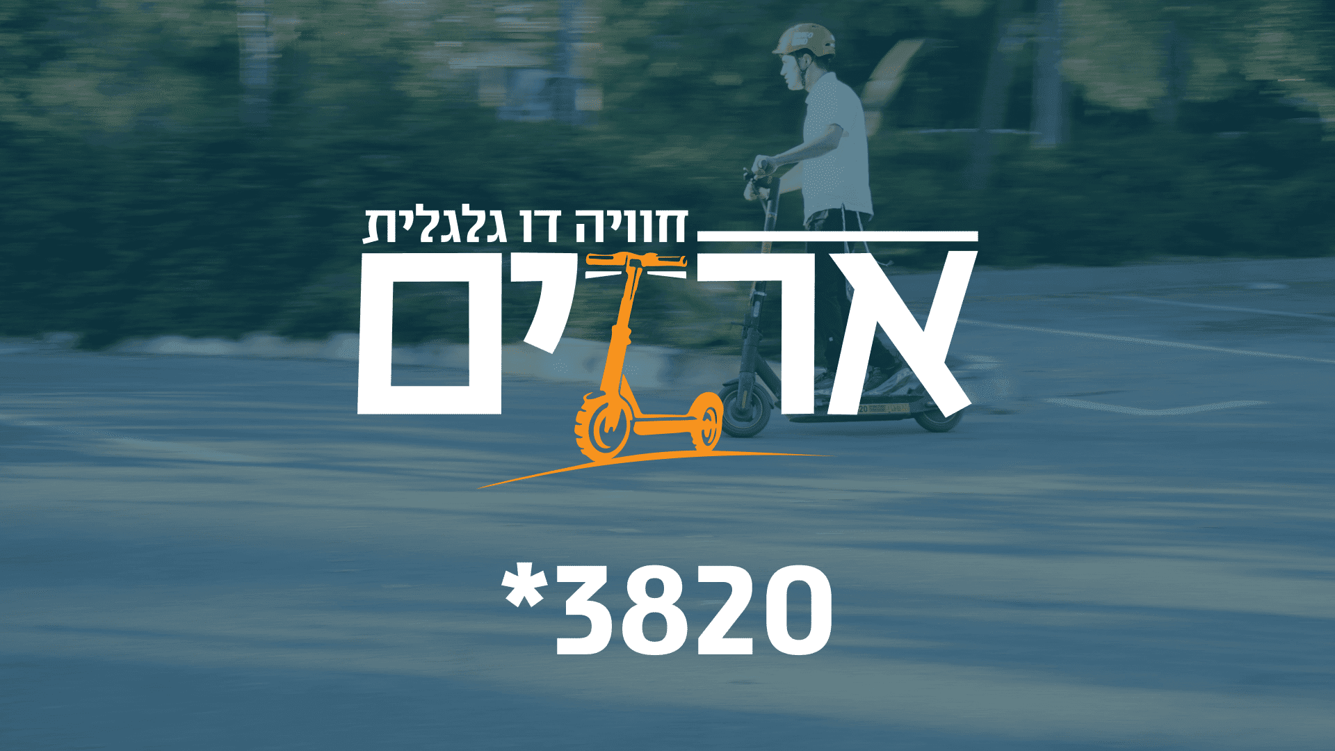 לוגו ארזים חוויה דו-גלגלית